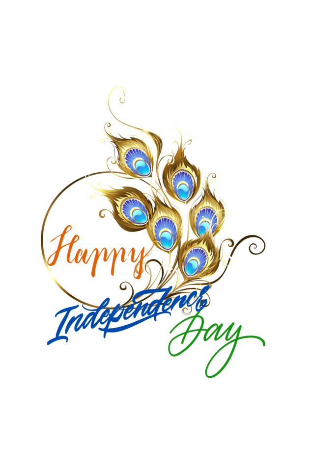 Independence Day Design for Cap by ZealforTee