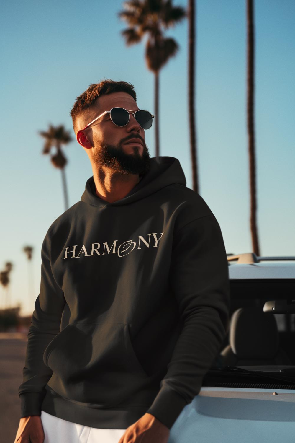 Men's Harmony Hoodie Sweatshirt Baby Blue by ZealforTee