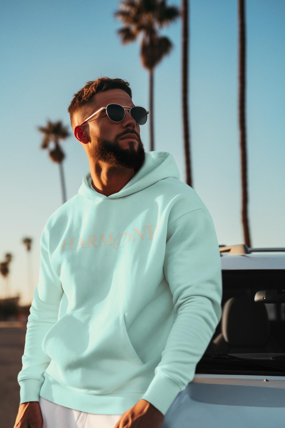 Men's Harmony Hoodie Sweatshirt Baby Blue by ZealforTee